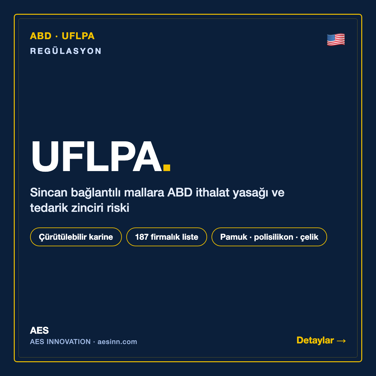 UFLPA — ABD · UFLPA bilgilendirme kartı (AES)